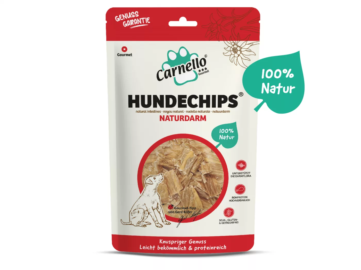 Hundechips