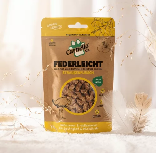 Federleicht