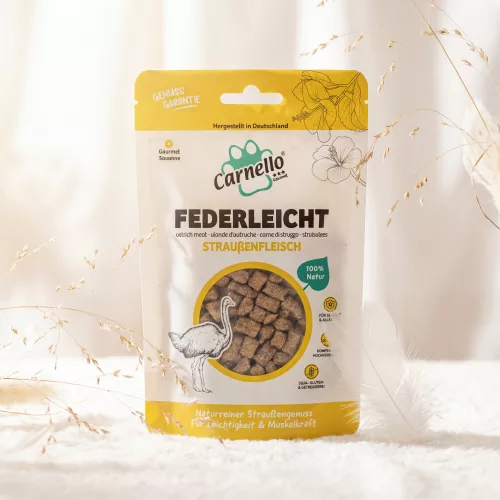 Federleicht