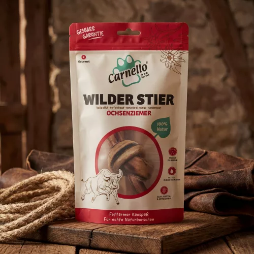 Wilder Stier