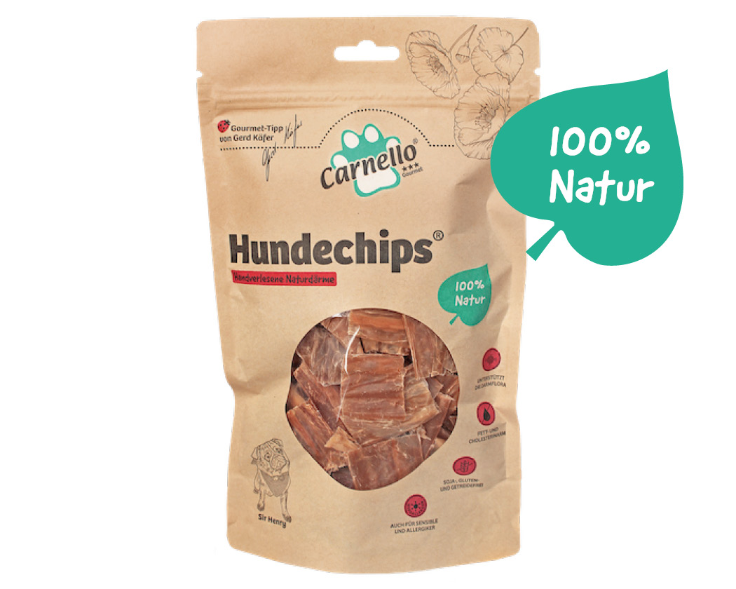 Hundechips